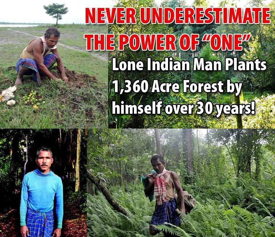 JADAV PAYENG - THE FOREST MAN OF INDIA
